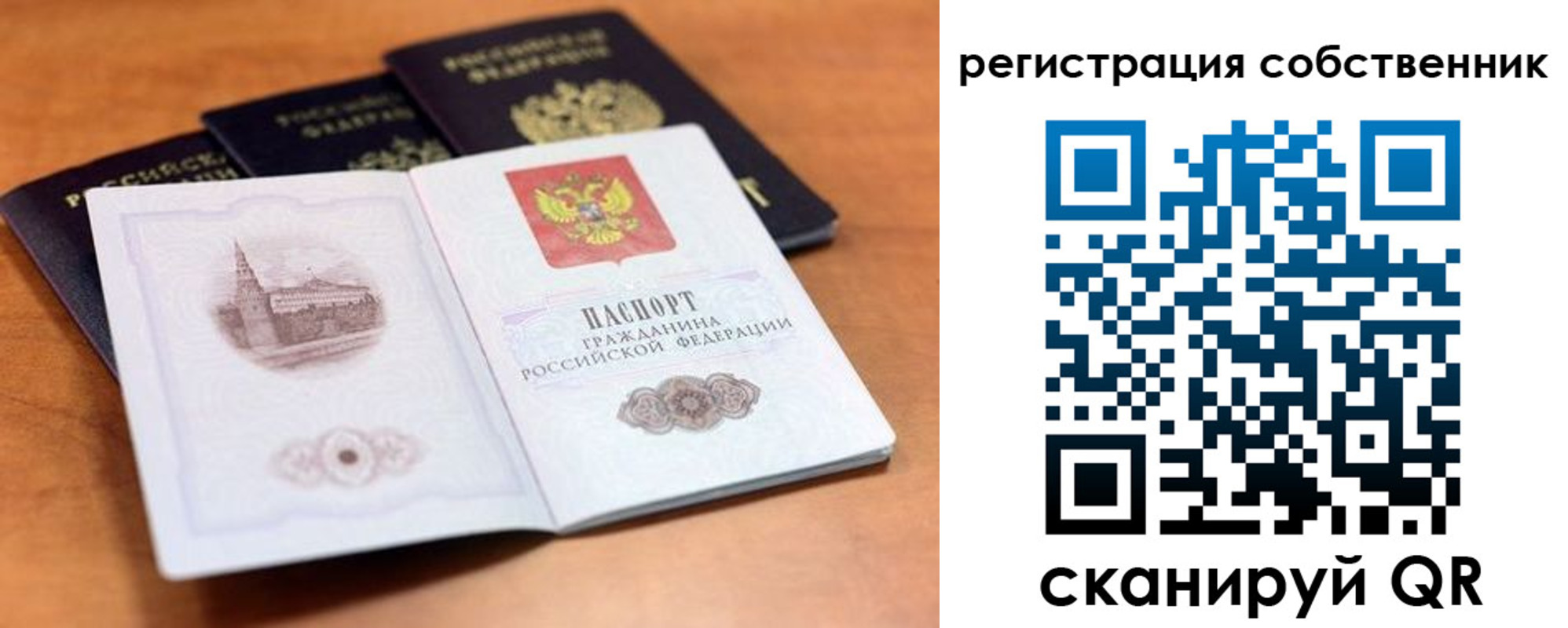 прописка поиск в Рязани
